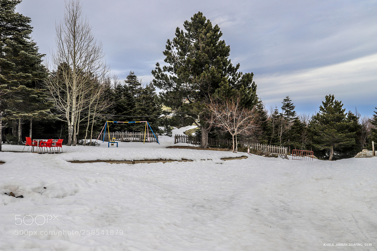Canon EOS 6D Mark II sample photo. Blank photography