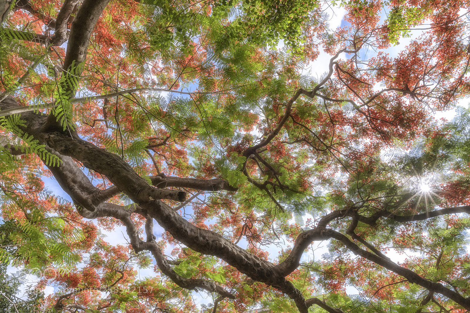 Nikon D850 sample photo. 鳳去樓空江自流 photography
