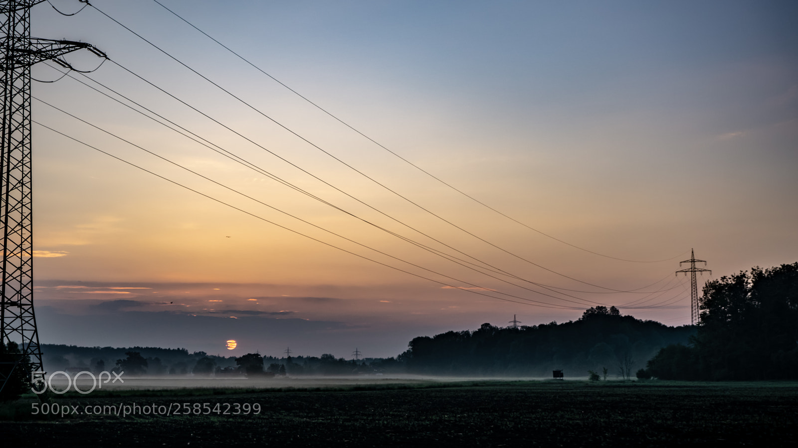 Sony a6000 sample photo. Energy in the morning photography