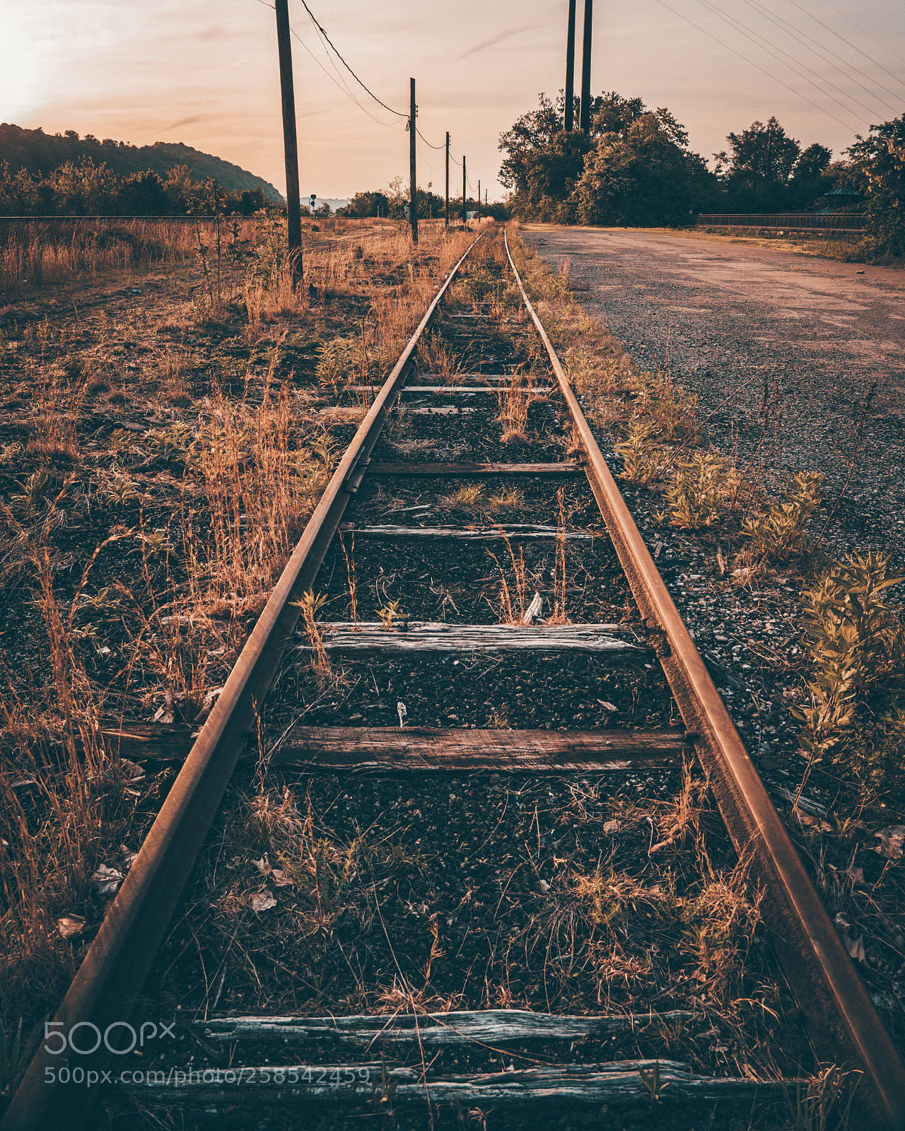 Sony a7R II sample photo. Down the tracks photography