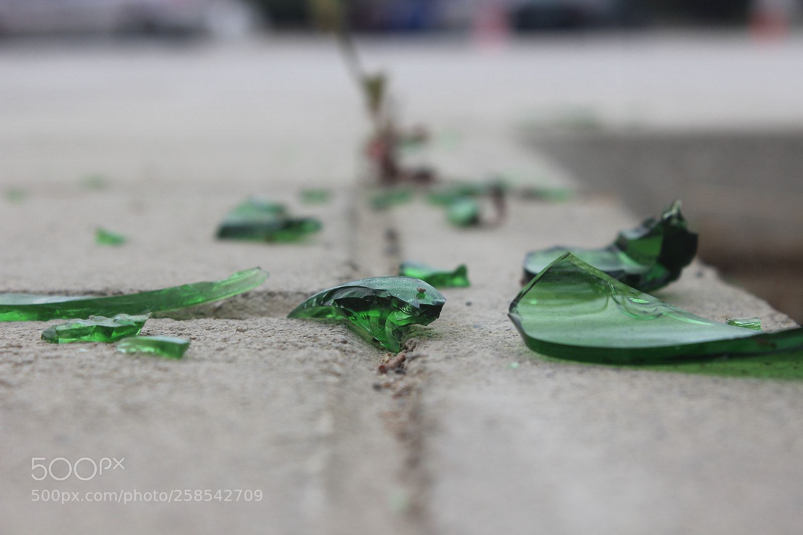 Canon EOS 600D (Rebel EOS T3i / EOS Kiss X5) sample photo. A trace of violence photography