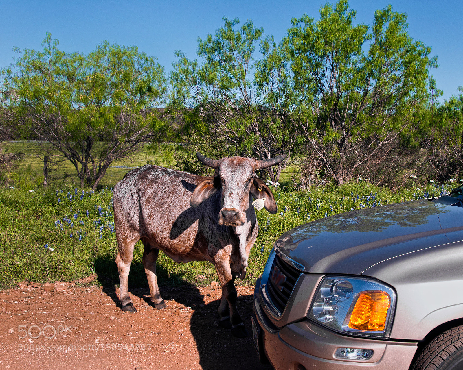 Nikon D300 sample photo. Stopped by a checkpoint photography