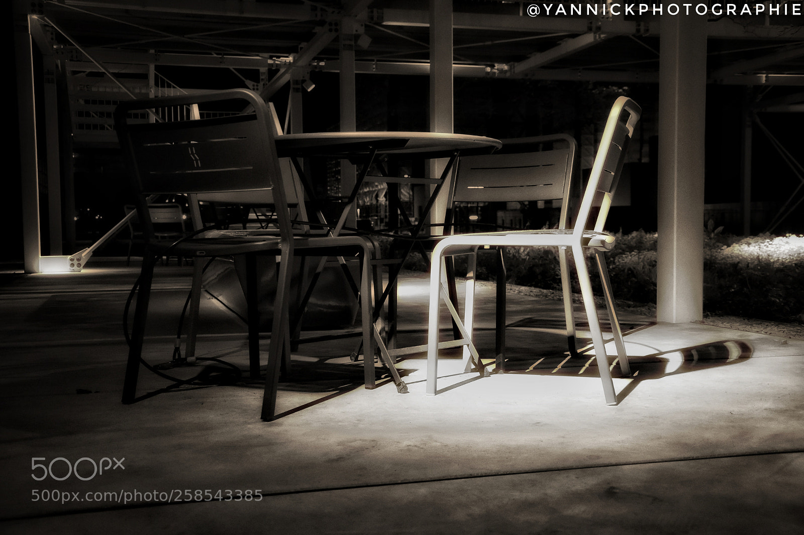 Nikon D5600 sample photo. Untitled photography