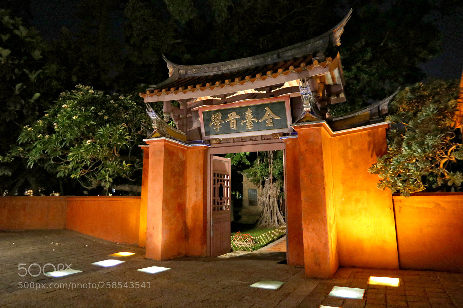 Canon EOS 80D sample photo. Mg photography