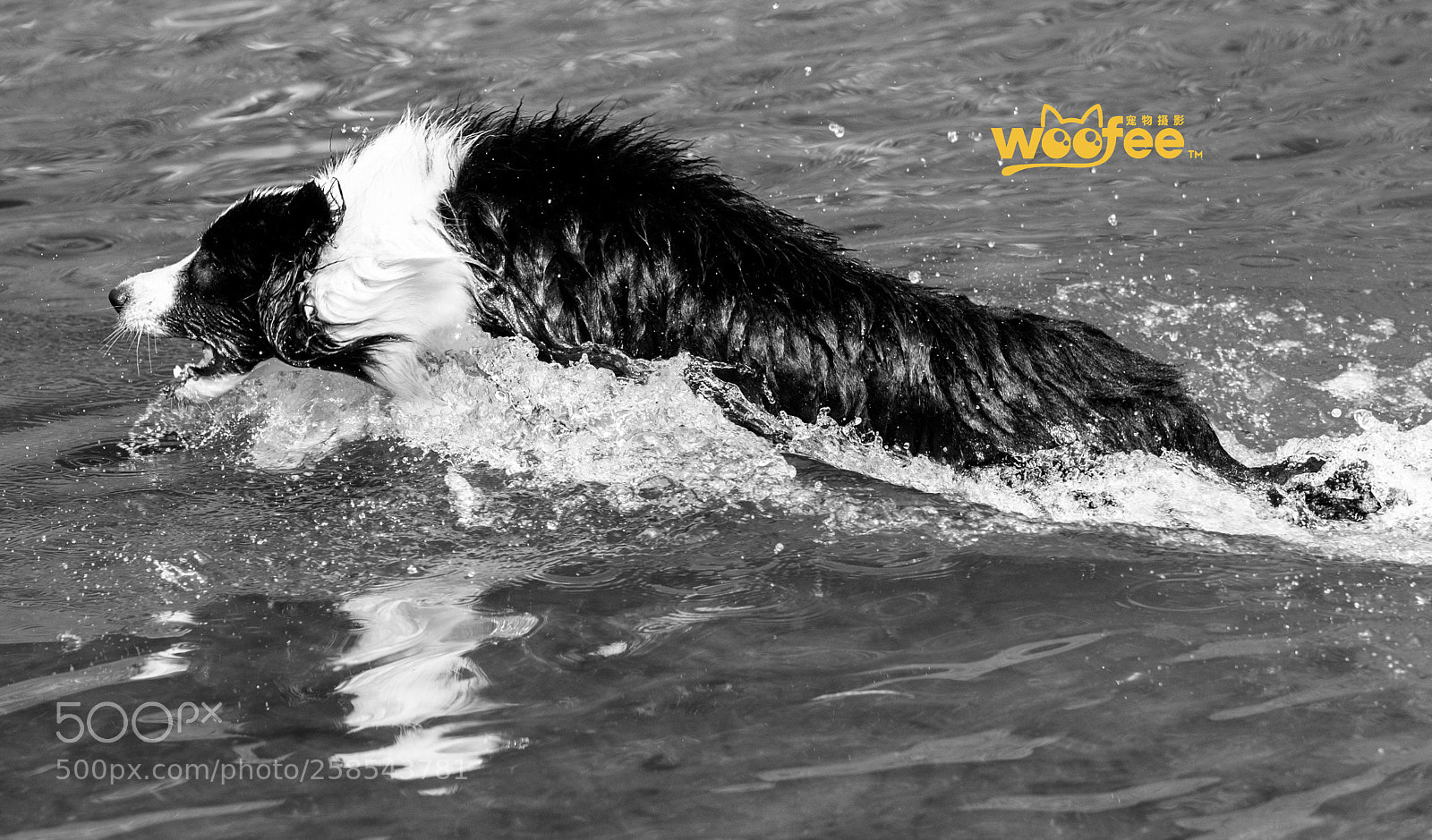 Nikon D810 sample photo. Untitled photography