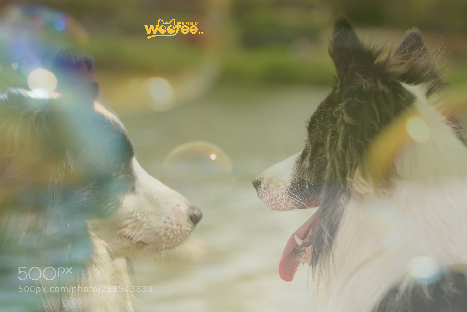 Nikon D810 sample photo. Untitled photography