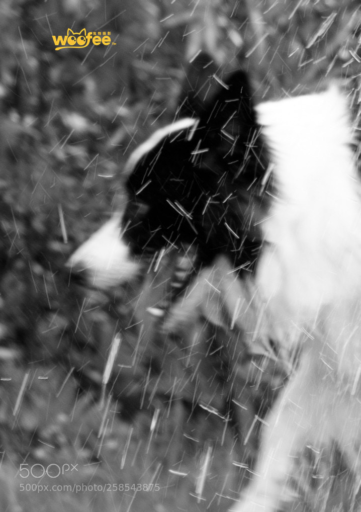 Nikon D810 sample photo. Untitled photography