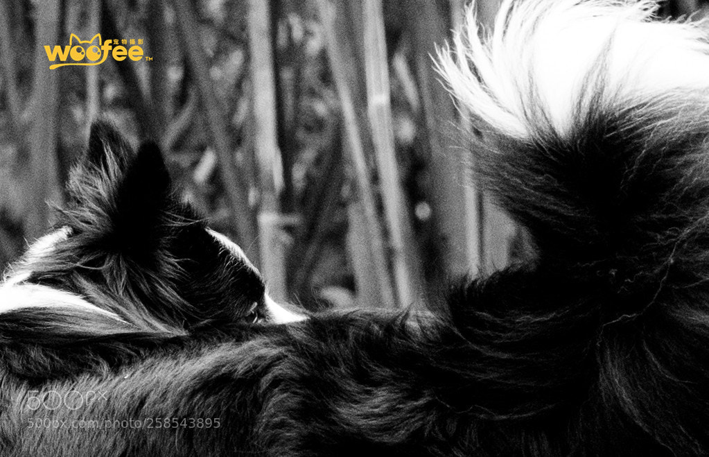 Nikon D810 sample photo. Untitled photography