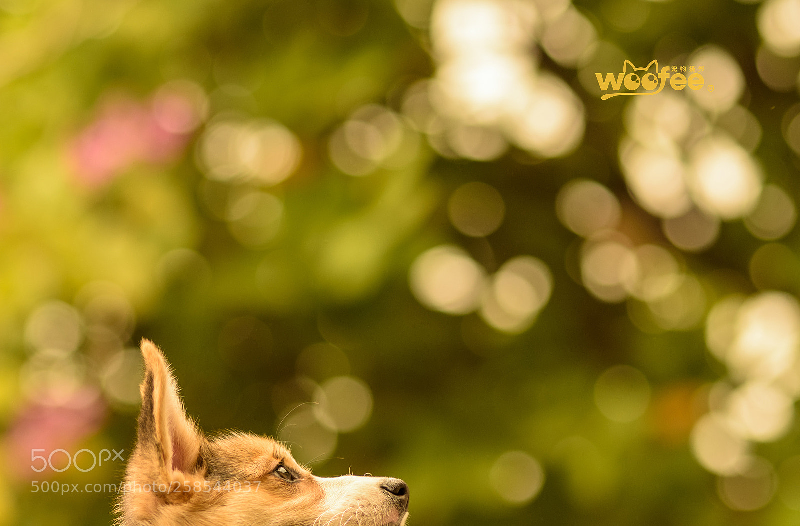 Nikon D810 sample photo. Untitled photography