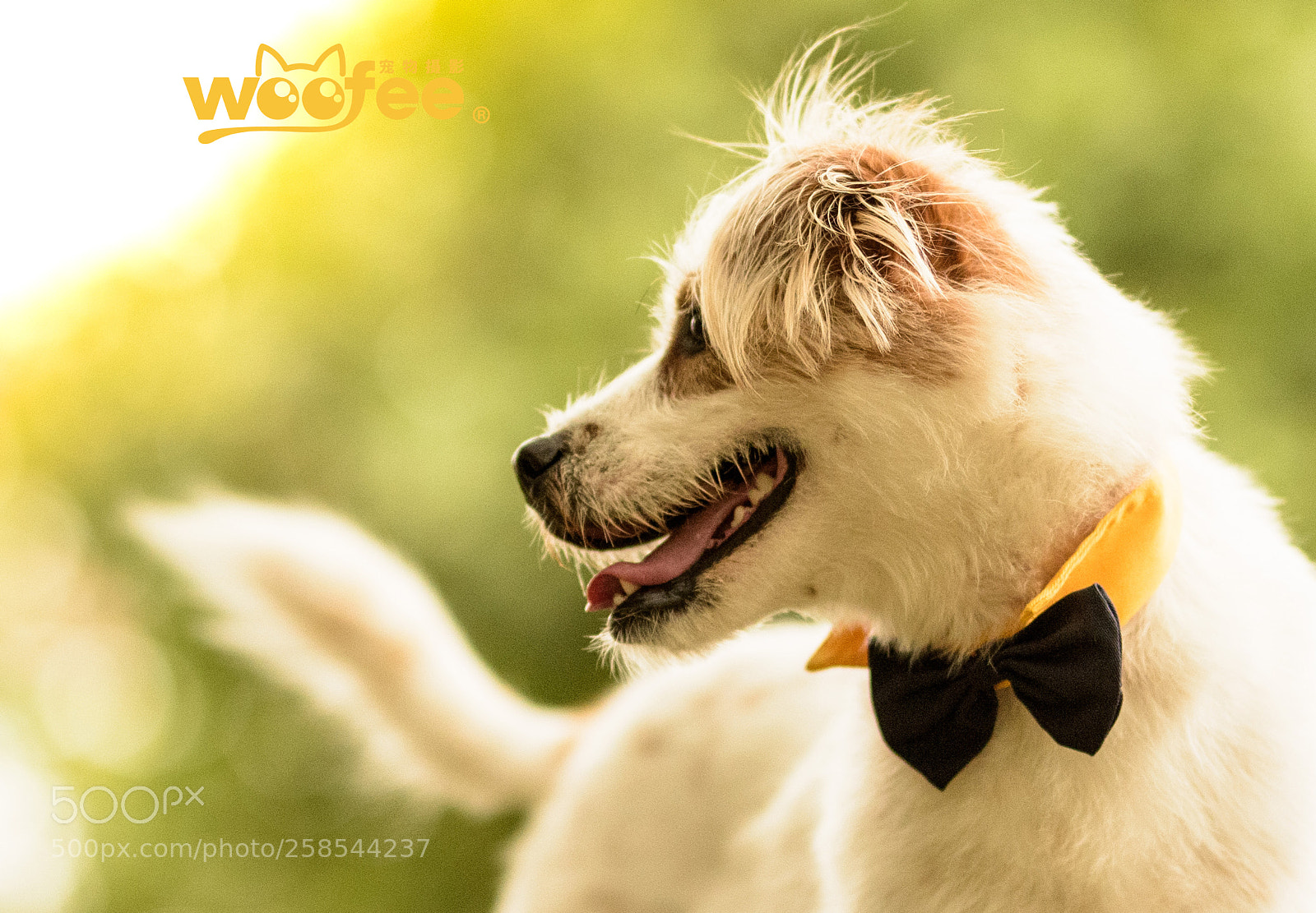 Nikon D810 sample photo. Untitled photography