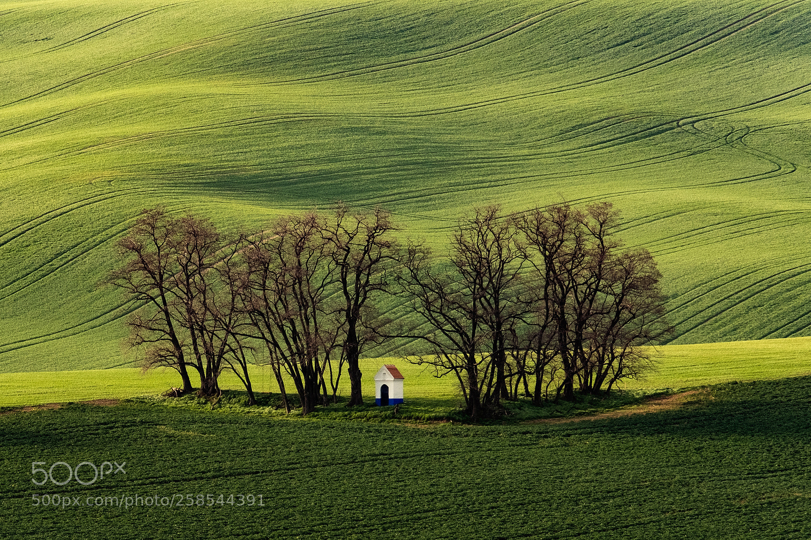 Fujifilm X-Pro2 sample photo. South moravia_2 photography