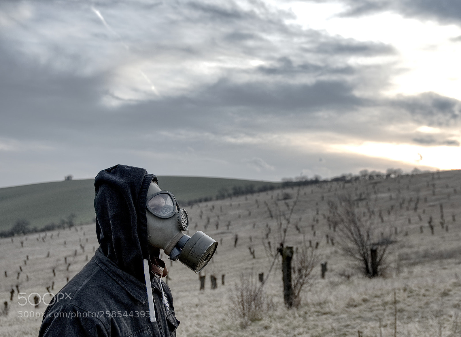Nikon D500 sample photo. Looter photography