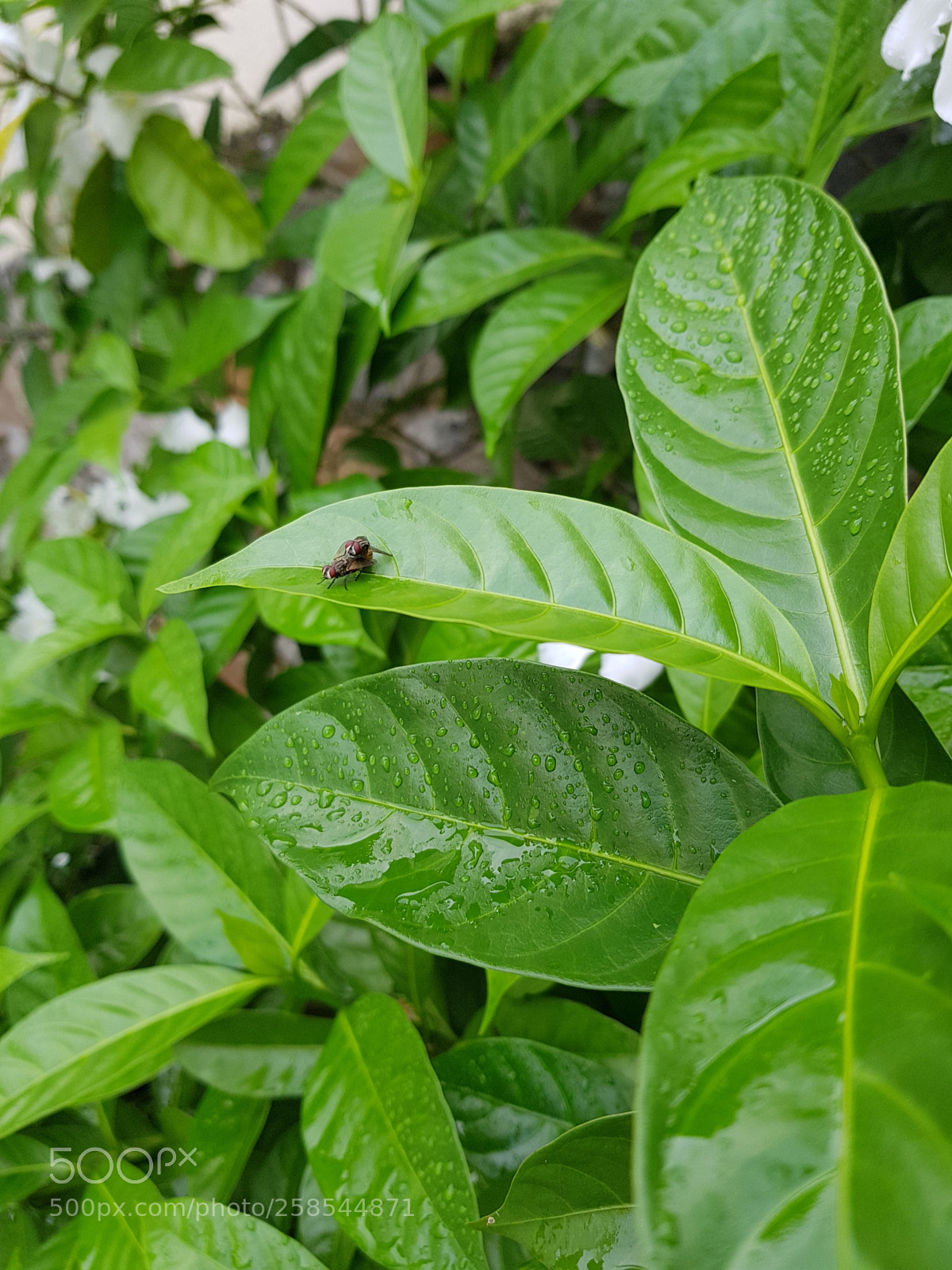 Samsung Galaxy S8+ sample photo. Mom and her baby photography