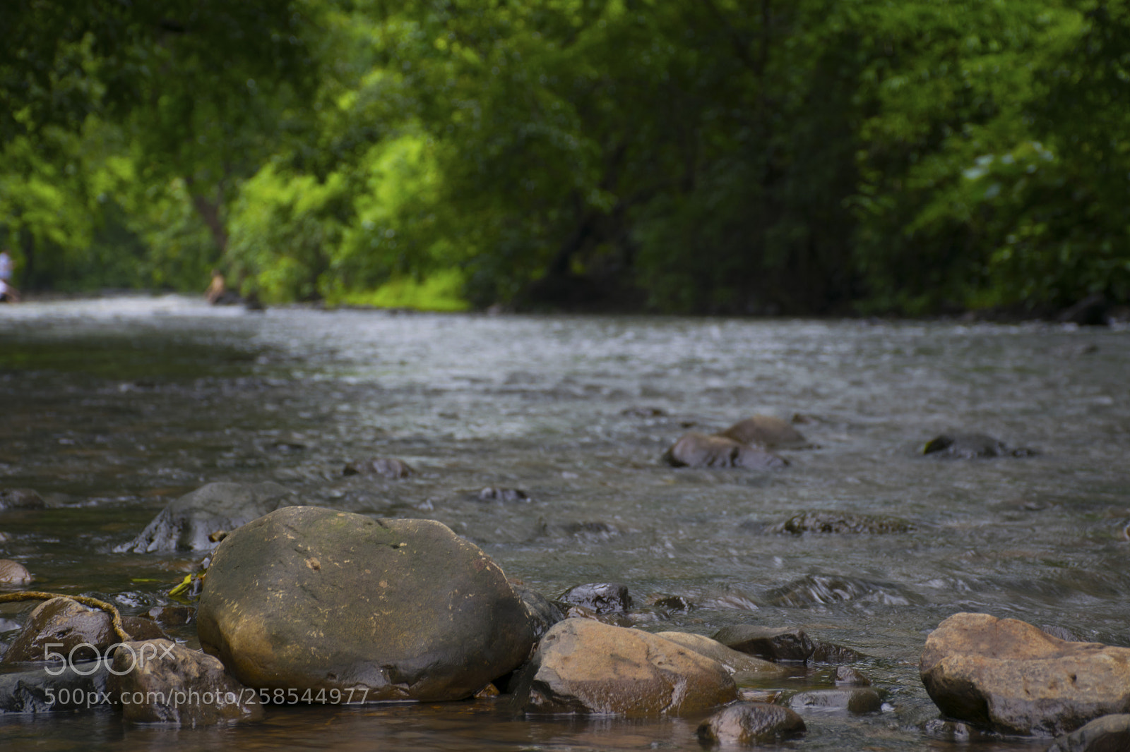 Nikon D5300 sample photo. Stones in river photography