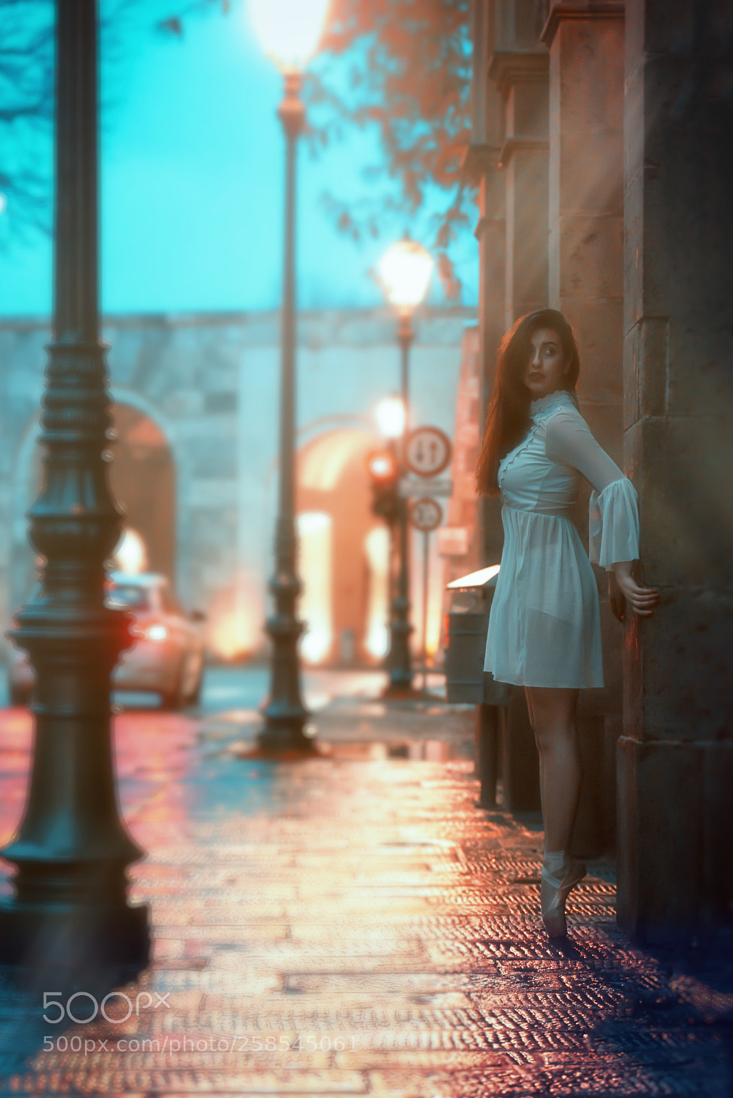 Nikon D600 sample photo. Ballerina project photography