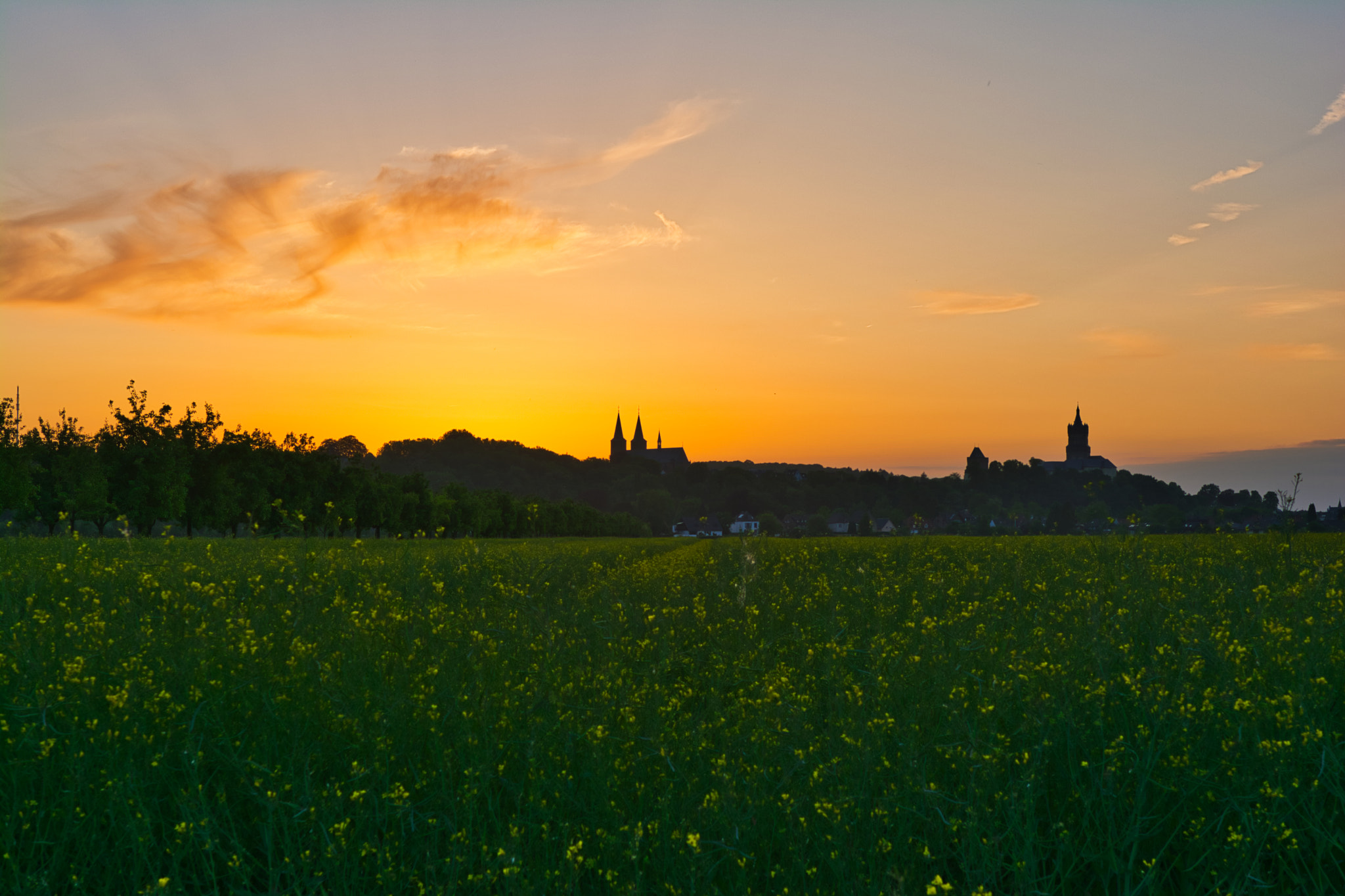 Nikon D5200 sample photo. Schwanenburg kleve bei sonnenuntergang photography