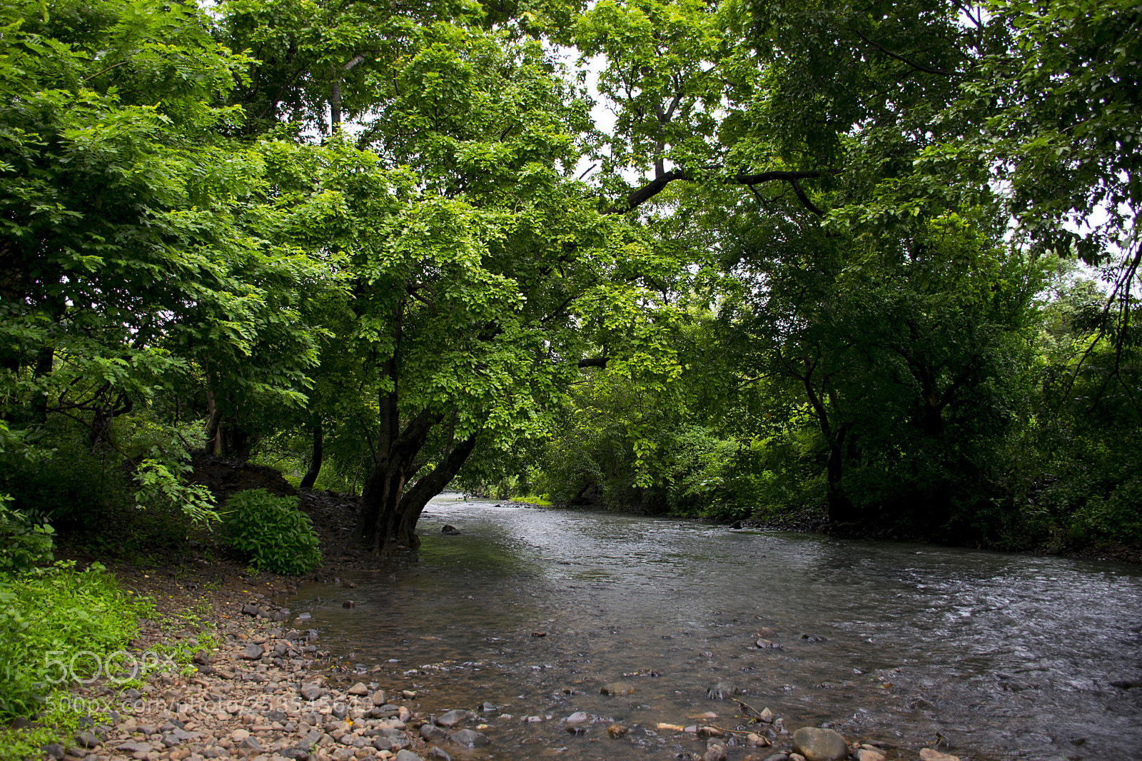 Nikon D5300 sample photo. River photography