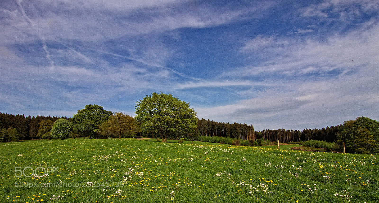 Canon EOS 7D sample photo. Springtime iv photography