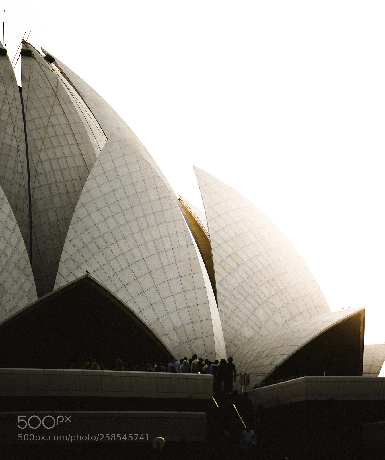 Sony a7 II sample photo. Lotus photography