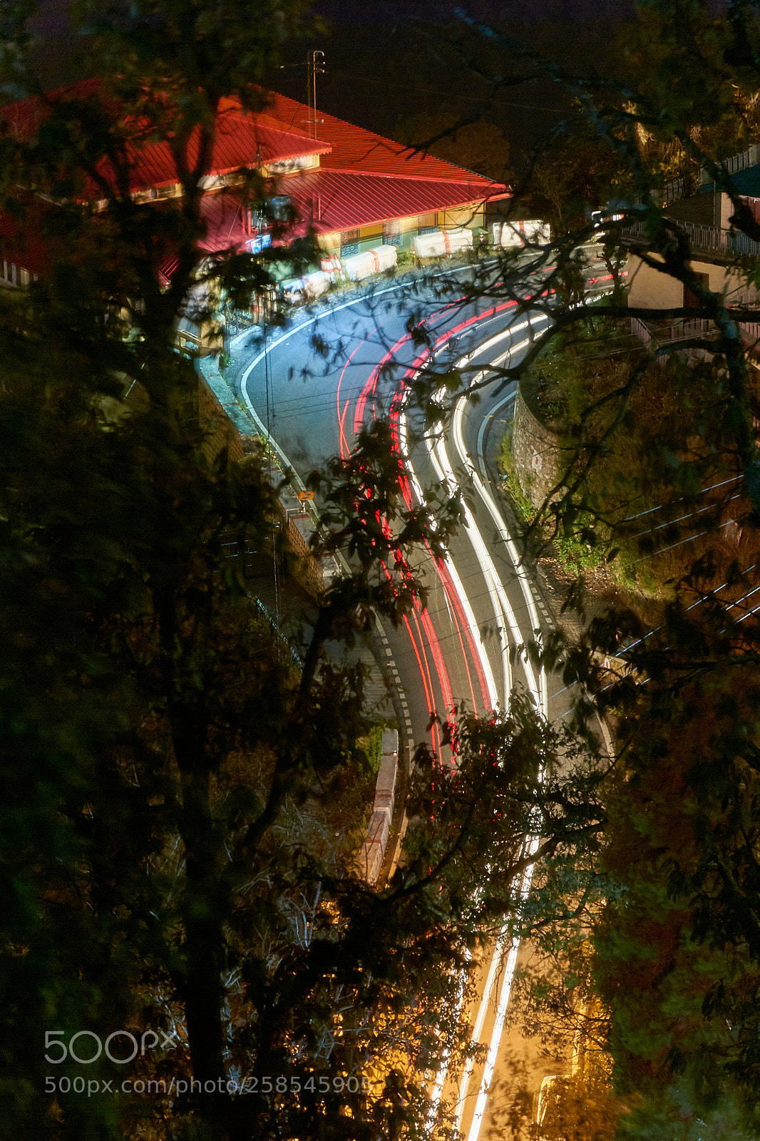 Nikon D5200 sample photo. Following the lights photography