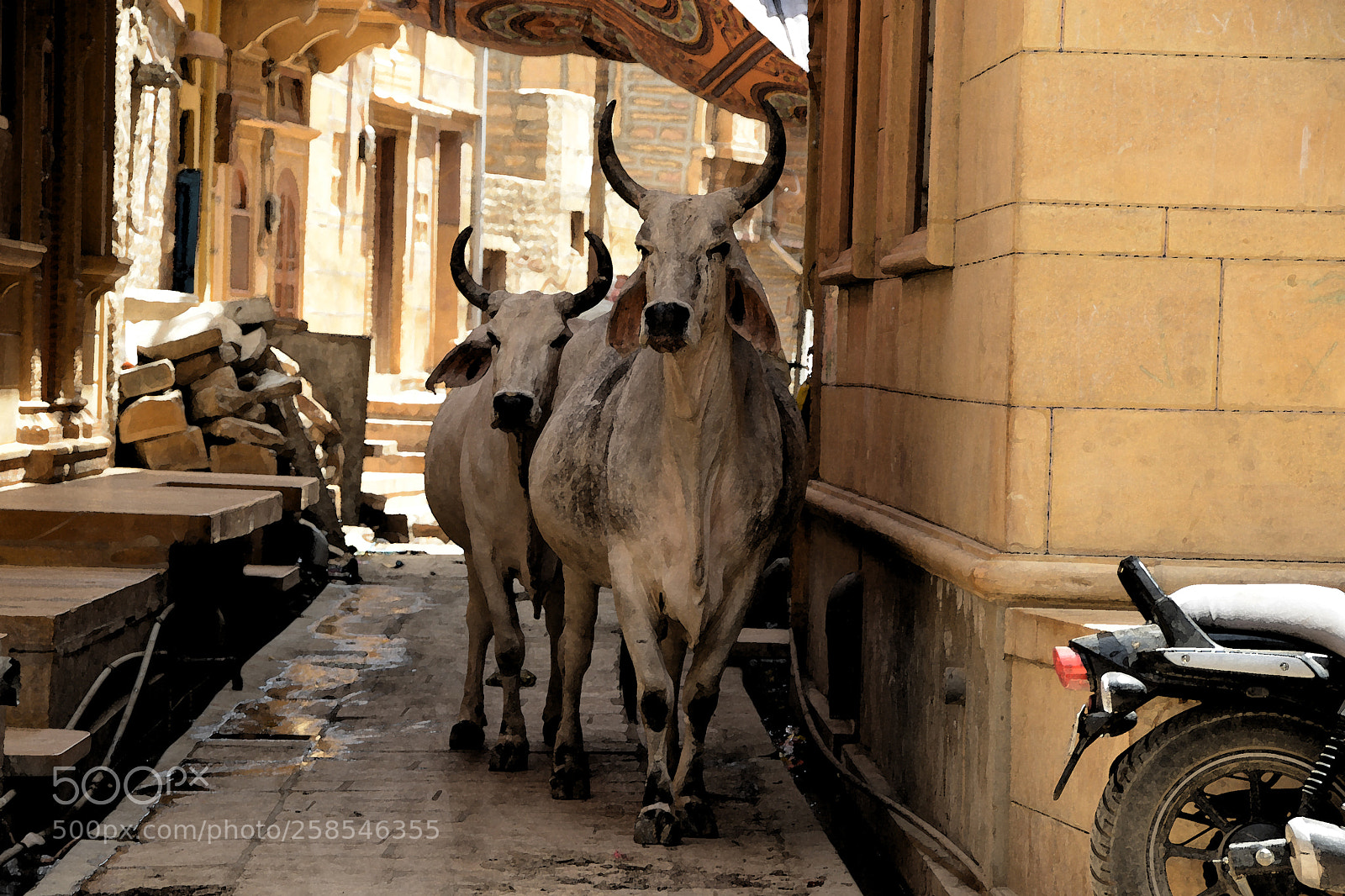 Nikon D800 sample photo. A photography