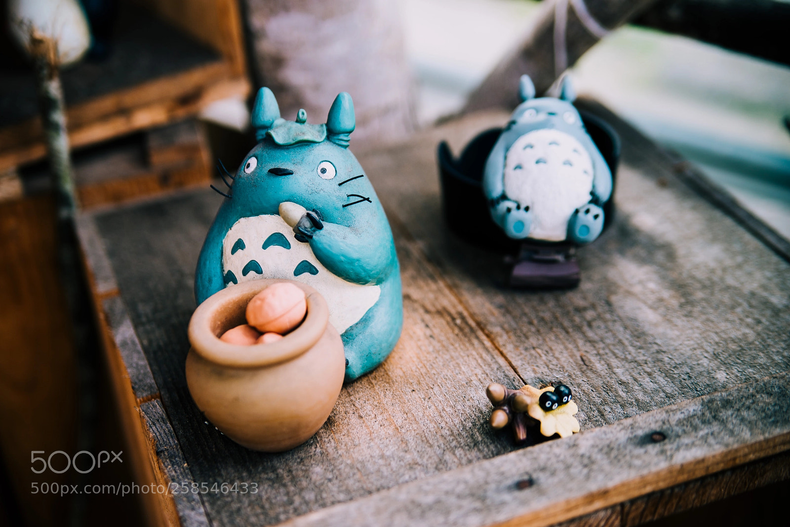 Nikon D610 sample photo. My neighbor totoro photography