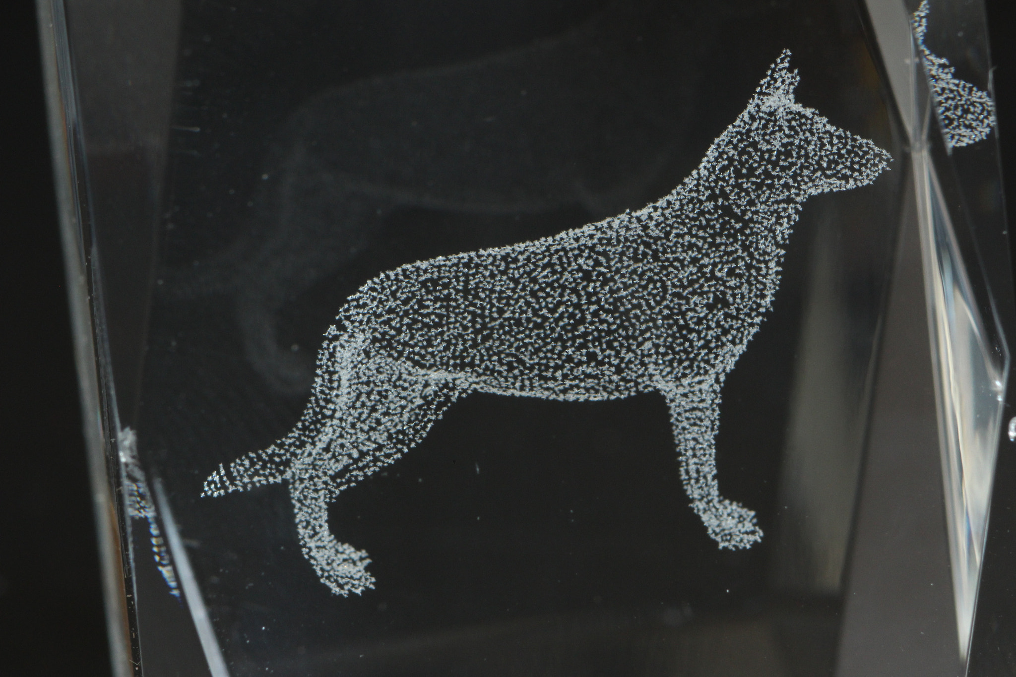 Canon EOS 600D (Rebel EOS T3i / EOS Kiss X5) sample photo. Gsd in glass photography