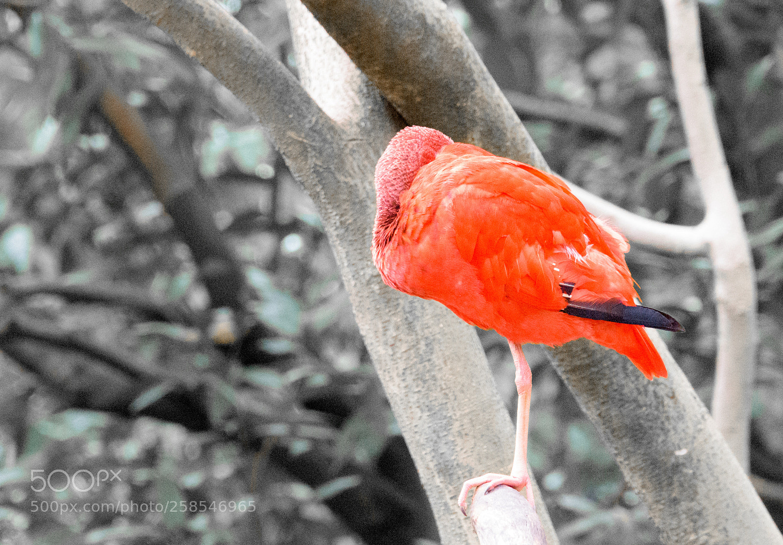 Nikon D810 sample photo. Untitled photography