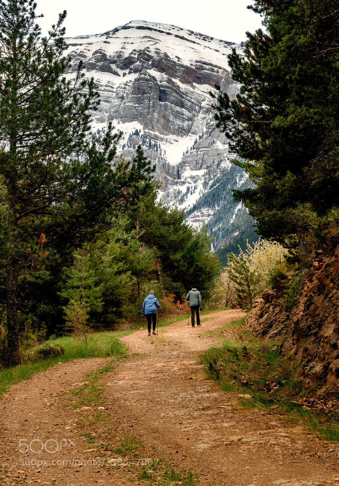 Nikon D850 sample photo. Walking the trail photography