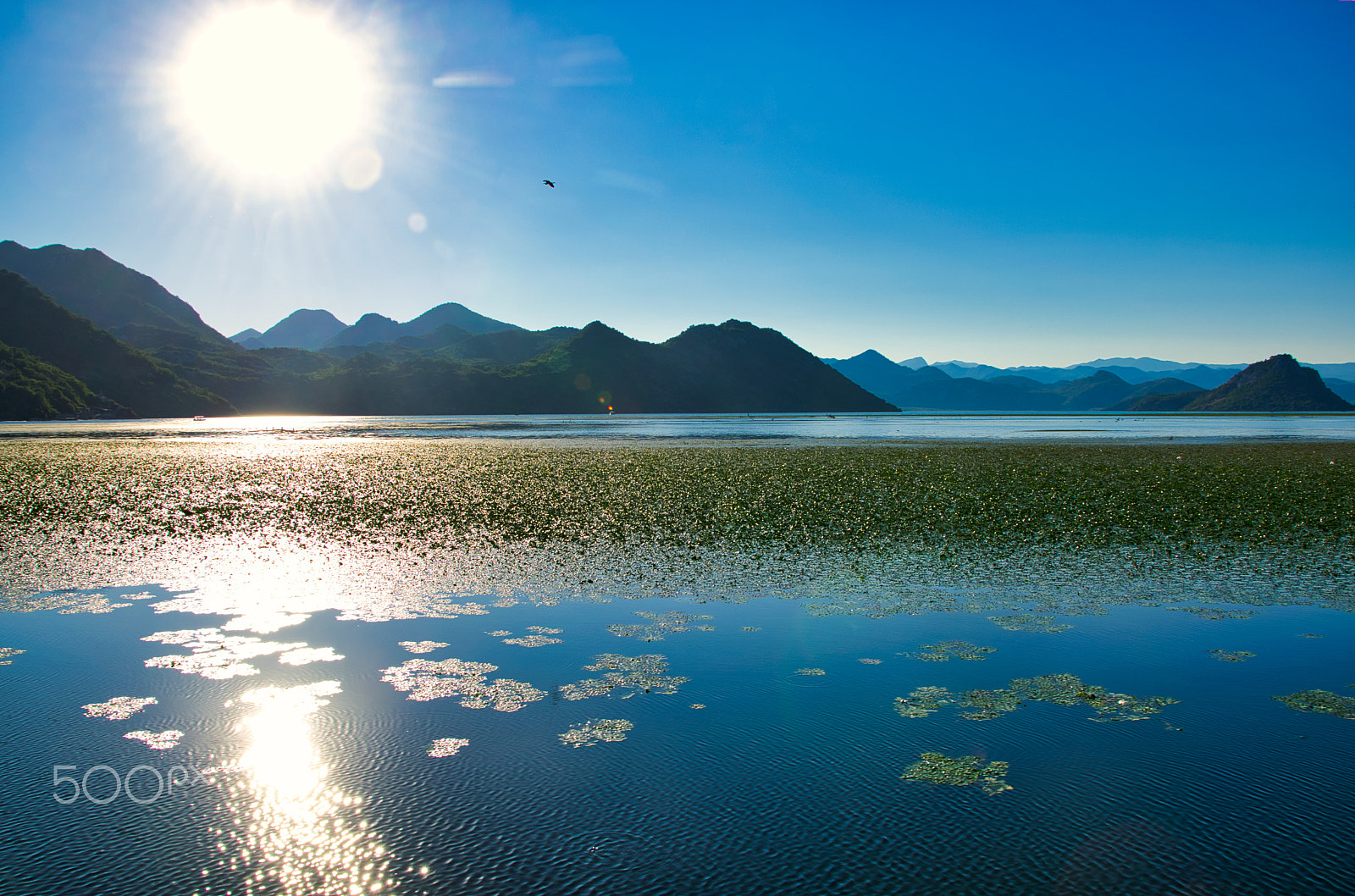 Nikon D5300 sample photo. Lake skadar, montenegro photography