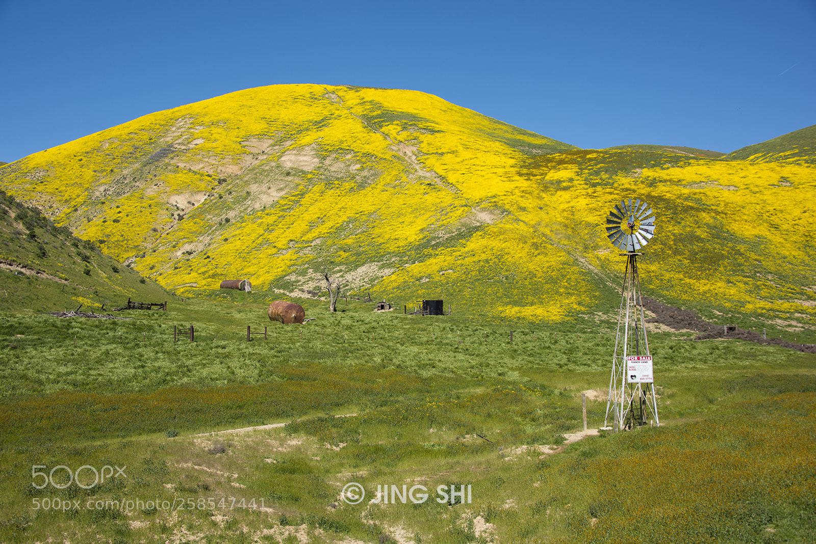 Nikon D810 sample photo. Golden ranch photography