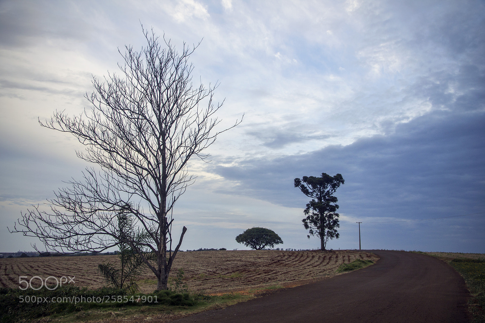 Canon EOS 1100D (EOS Rebel T3 / EOS Kiss X50) sample photo. Vida seca photography