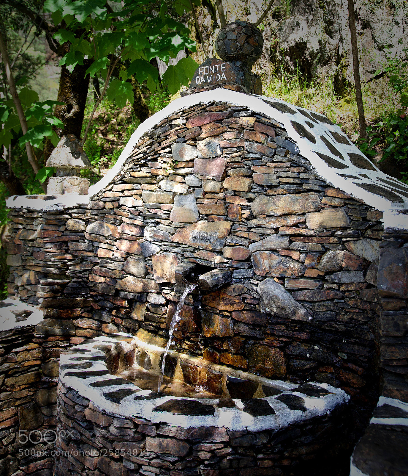 Nikon D750 sample photo. Fonte da vida photography