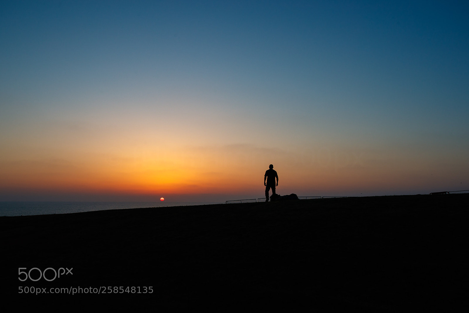 Canon EOS-1D X Mark II sample photo. Glider photography