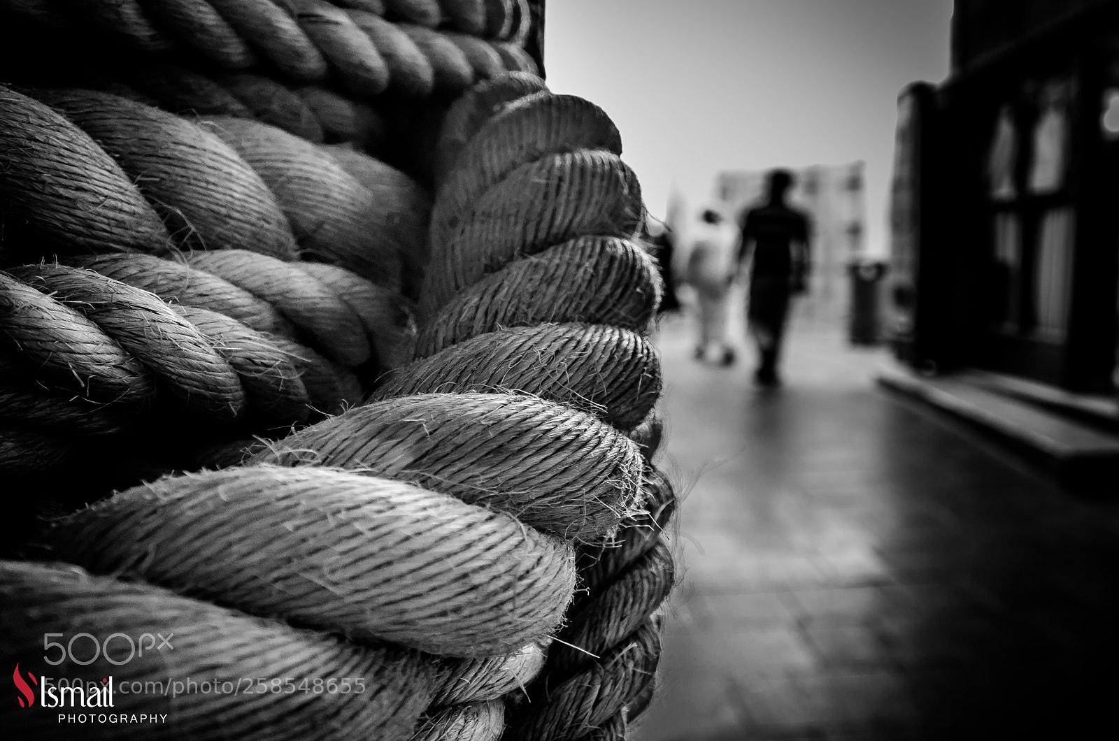 Nikon D7000 sample photo. Rope photography