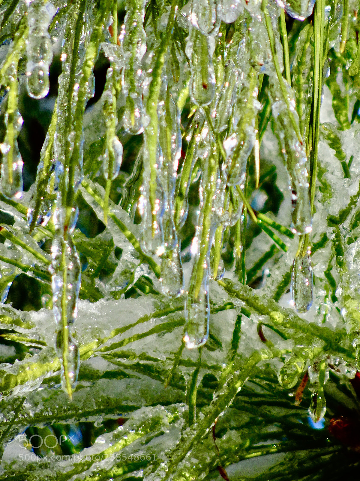 Sony Cyber-shot DSC-HX90V sample photo. Icy crust photography