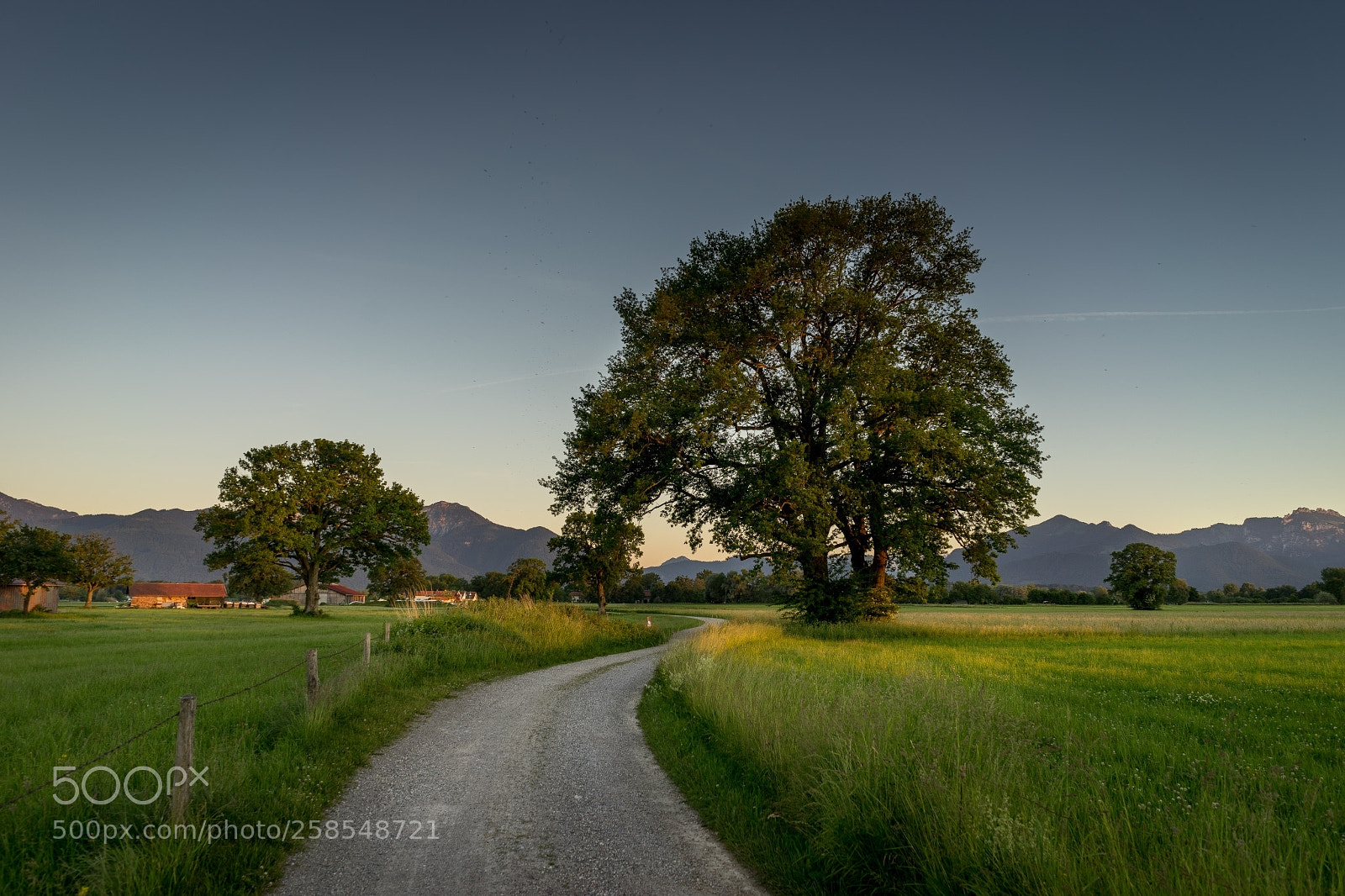 Sony a7 II sample photo. Lachsgang sunset stroll photography