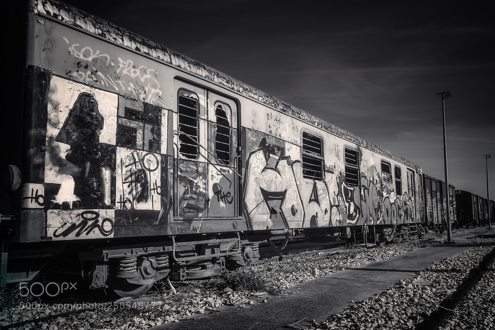 Nikon D610 sample photo. Abandoned wagons photography