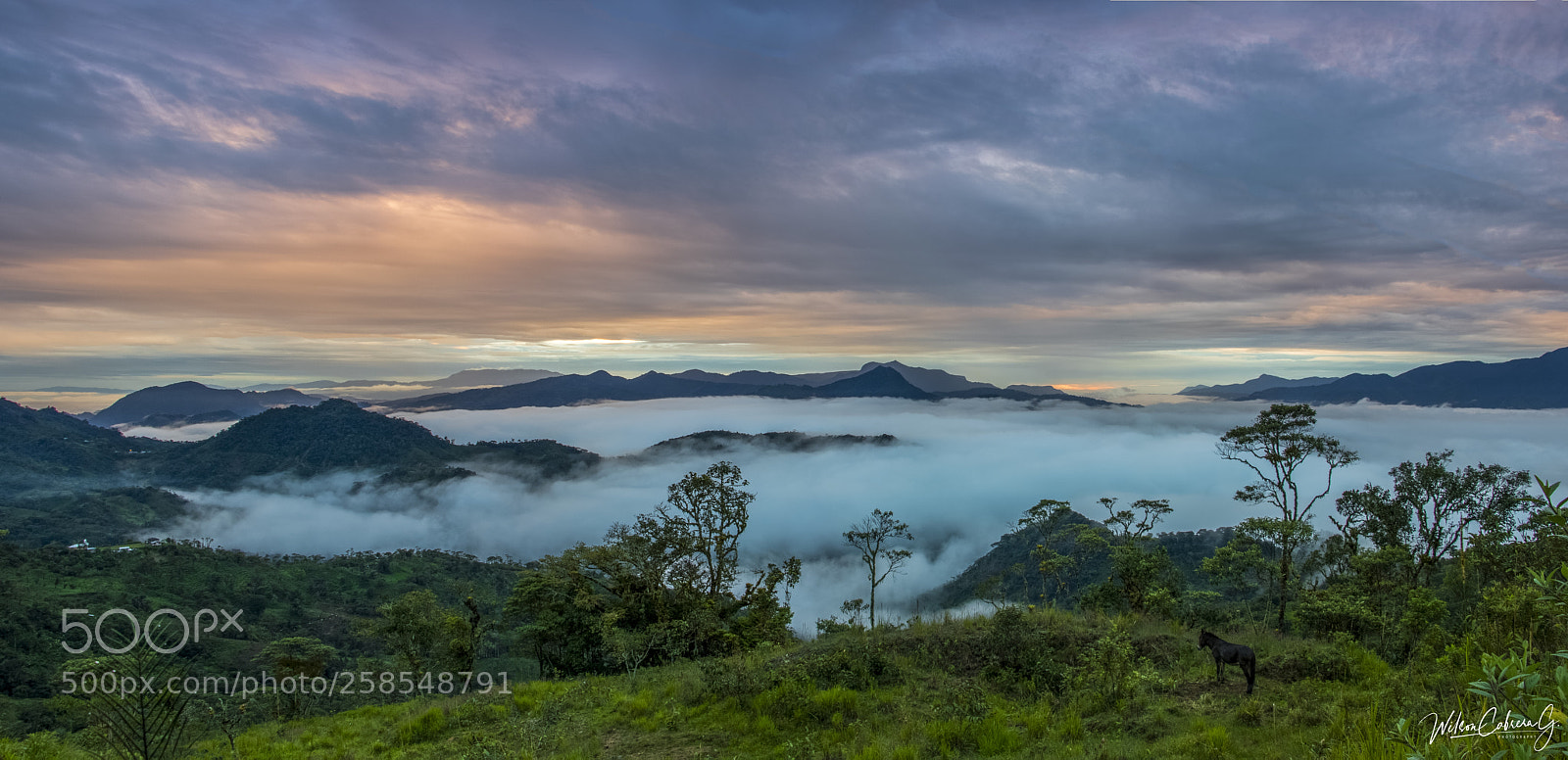 Canon EOS 7D Mark II sample photo. Lim n indanza photography