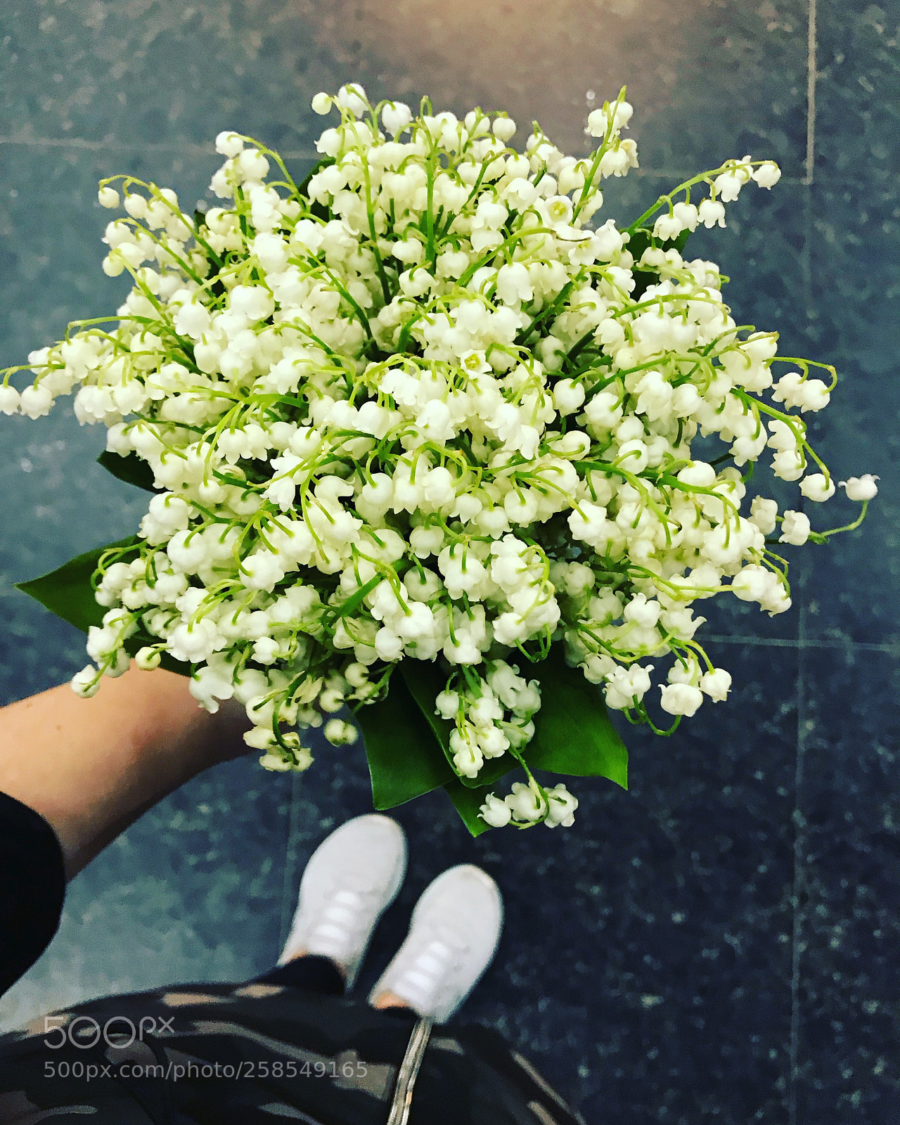 Apple iPhone 7 sample photo. Ландыши-это дыхание весны photography