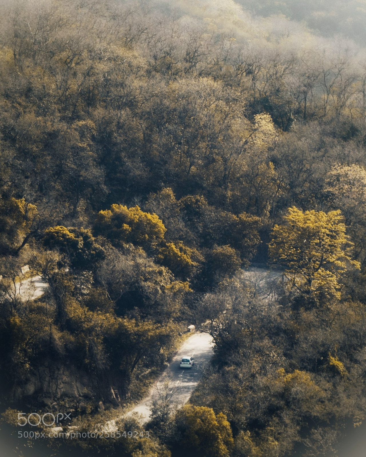Nikon D5200 sample photo. Surrounded by nature photography