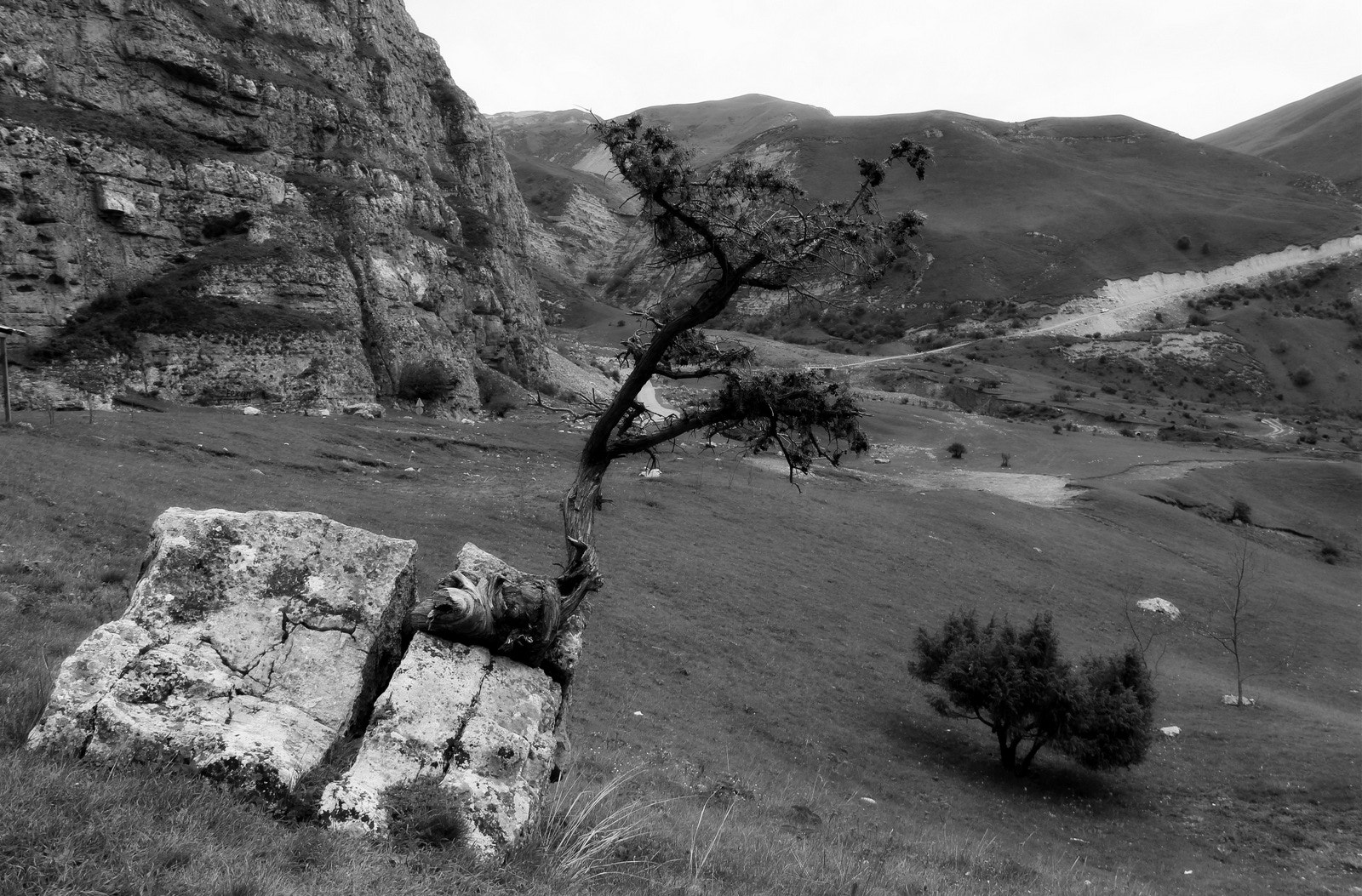 Canon EOS 650D (EOS Rebel T4i / EOS Kiss X6i) sample photo. Wisdom of nature. photography