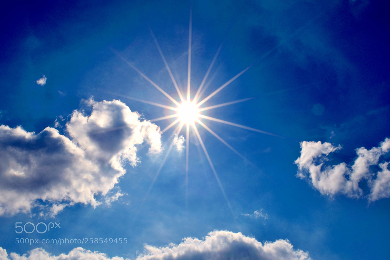 Nikon D3300 sample photo. Sunny day photography