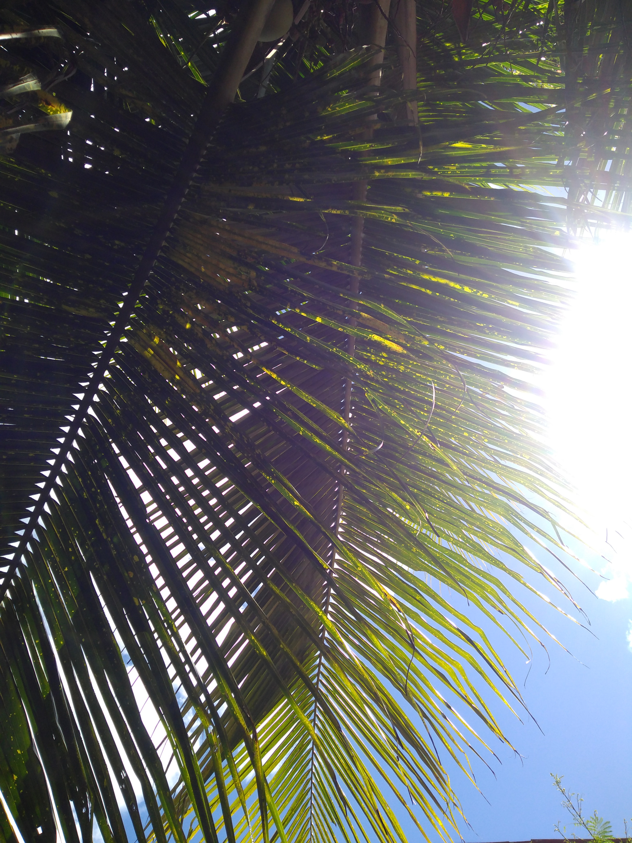 Motorola Moto G (5S) Plus sample photo