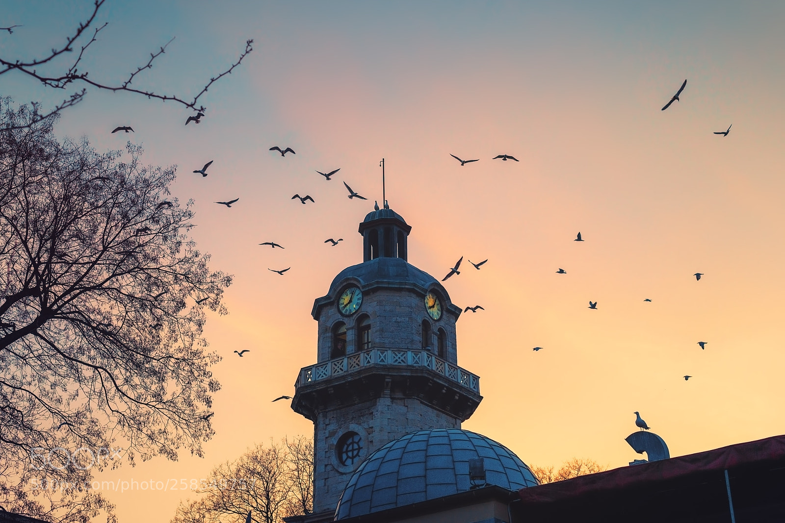 Sony a7R II sample photo. Clock tower in the photography