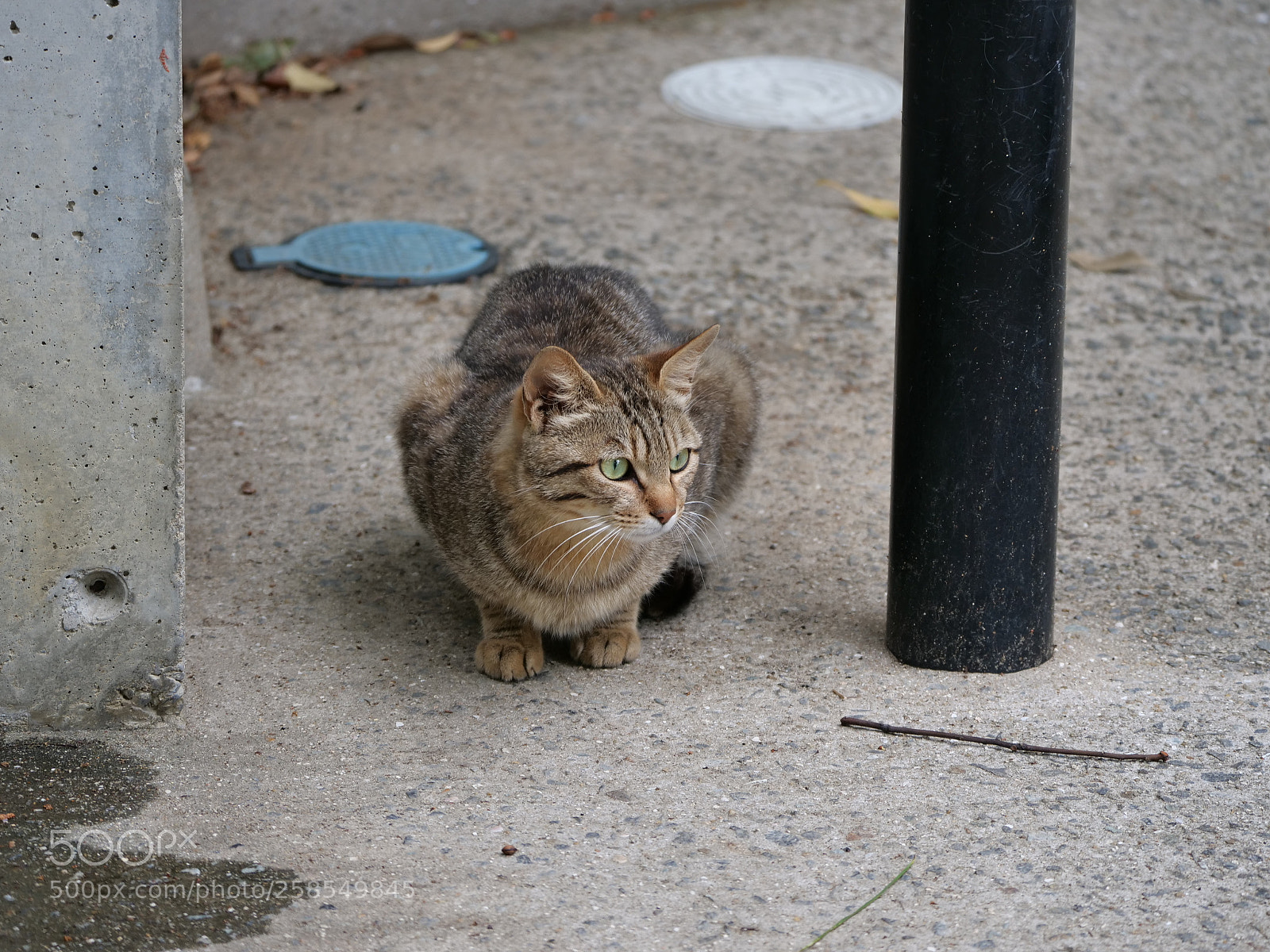 Panasonic Lumix DC-G9 sample photo. Funny cay photography