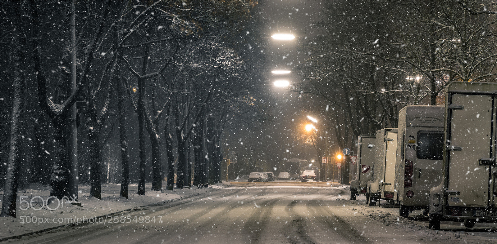 Canon EOS 7D sample photo. 8  months of winter photography