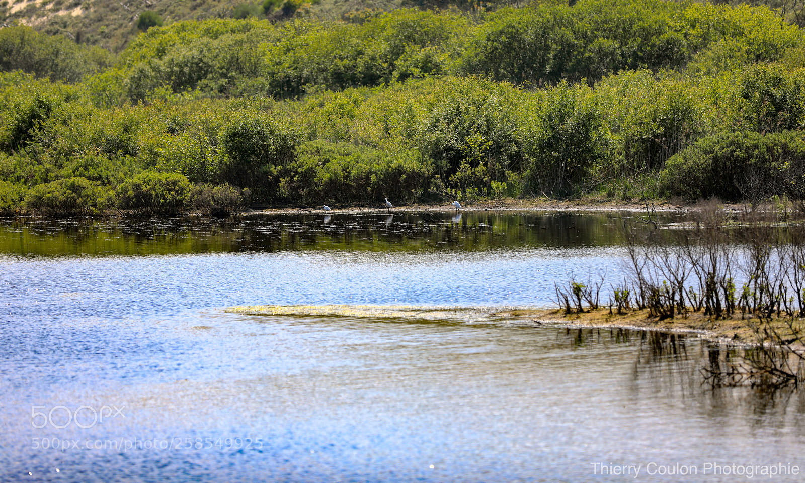 Canon EOS 5D Mark IV sample photo. Nature et calme photography