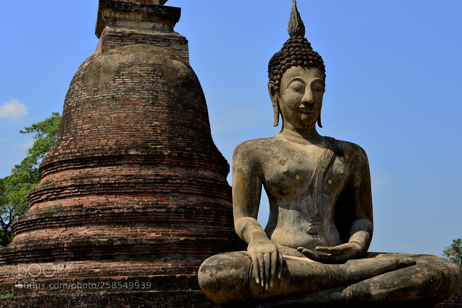 Nikon D800 sample photo. Wat mahathat photography