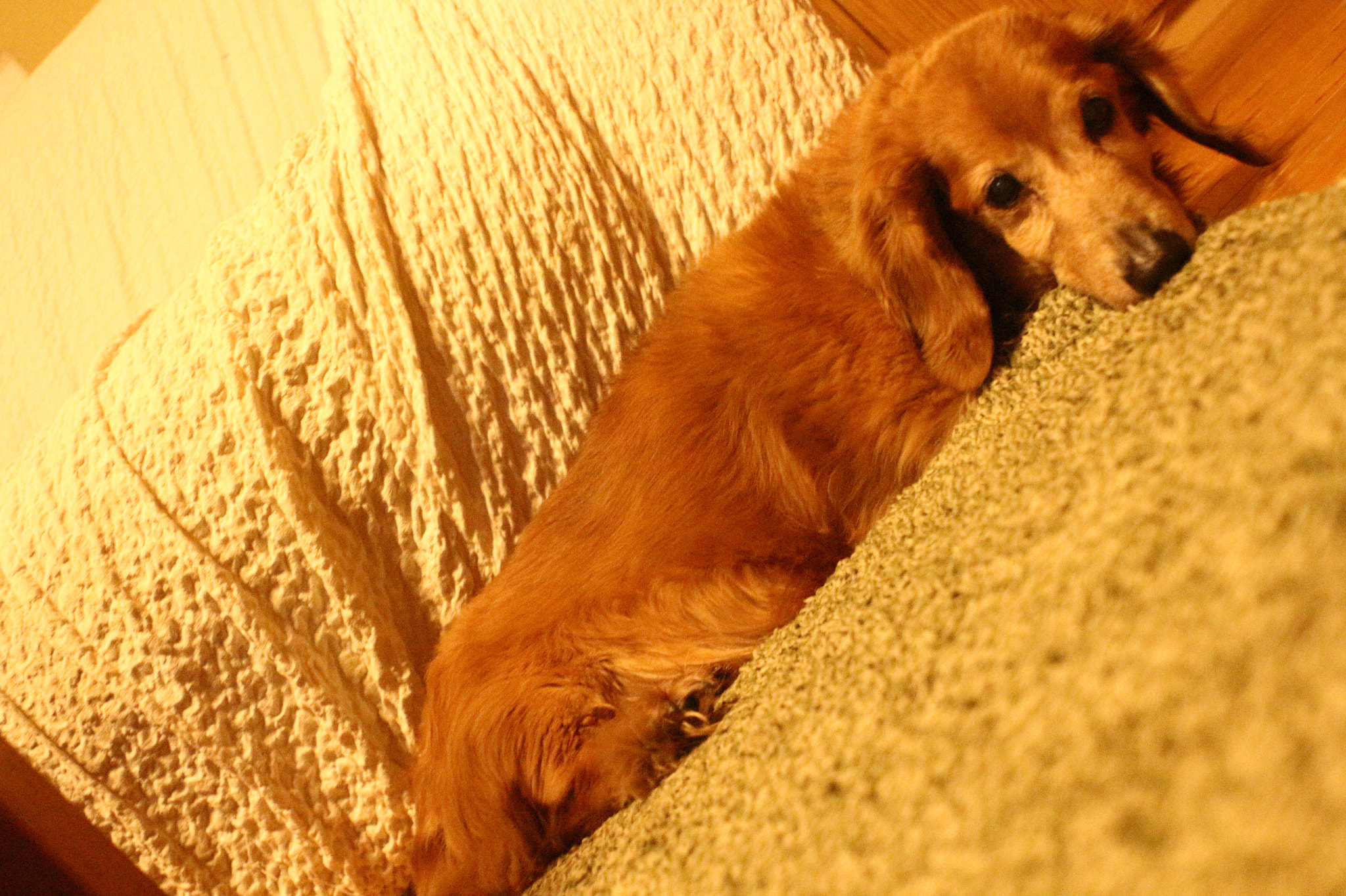 Canon EOS 100D (EOS Rebel SL1 / EOS Kiss X7) sample photo. Dutch angle photography